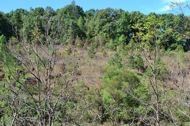 70 Maulden Branch Rd, Elias, KY 40486 - photo 4