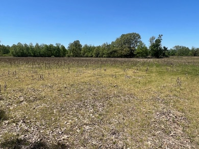 27 ACRES Sycamore Rd, Collierville, TN 38017 - photo 7