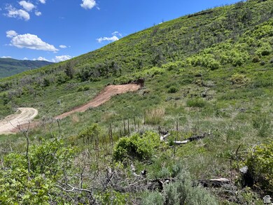 475 E Paradise, Indianola, UT 84629 - photo 4