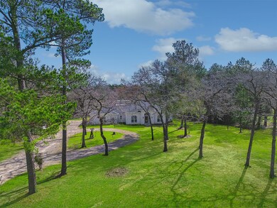 32010 Park Meadow Pass, Magnolia, TX 77355 - photo 3