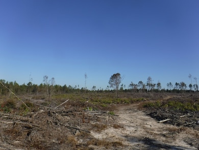 6632-6846 Dixie Hwy, Bradley, AL 36483 - photo 6