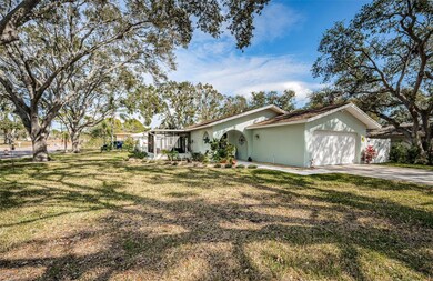 969 Gulf View Blvd, Dunedin, FL 34698 - photo 7