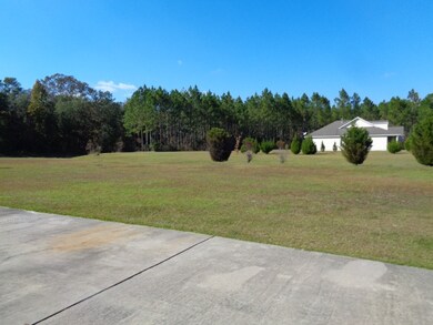 61 Ponderosa Dr, Crawfordville, FL 32327 - photo 7