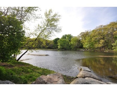 141 Jason St, Arlington, MA 02476 - photo 6