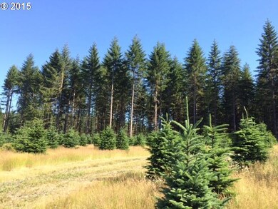 16876 S Boyles Rd, Molalla, OR 97038 - photo 4