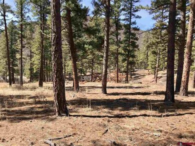 0 Bell Flower Ct unit 768245, Durango, CO 81301 - photo 4