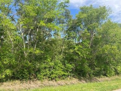 0 Cr 849, Brazoria, TX 77422 - photo 3