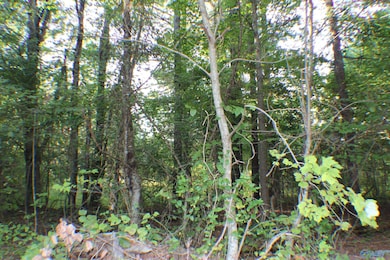 Lot 3 Hickory Ln, Hammondville, AL 35989 - photo 5