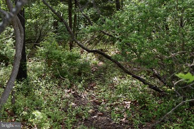 14109 Maple Ridge, Hancock, MD 21750 - photo 4