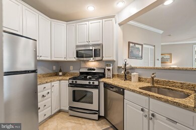 2310 14th St N unit 307, Arlington, VA 22201 - photo 3