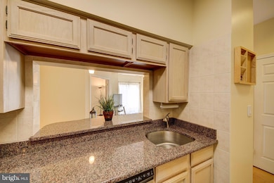 The Charleston unit PH07, Arlington, VA 22201 - photo 5