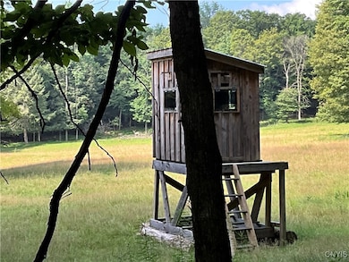 213 Button Rd, West Edmeston, NY 13485 - photo 7