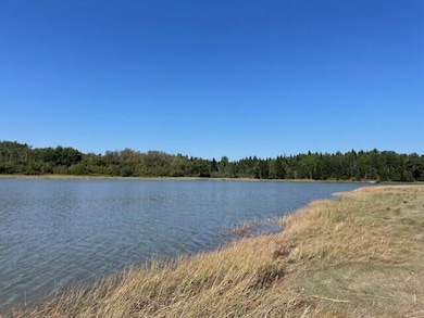 Edge Of River
