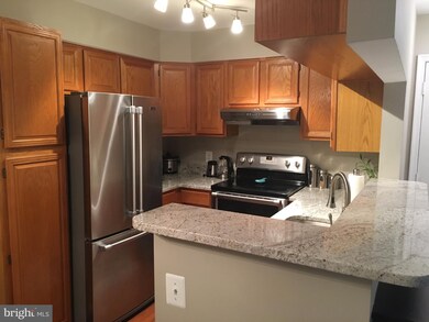 11717 Karbon Hill Ct unit K, Reston, VA 20191 - photo 3