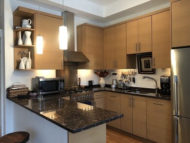 643 Tremont St unit 1, Boston, MA 02118 - photo 2