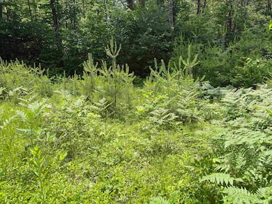 00 Simonsville Rd, Andover, VT 05143 - photo 6