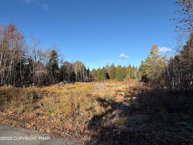 12 Laurel View Ln, Coolbaugh Township, PA 18466 - photo 6