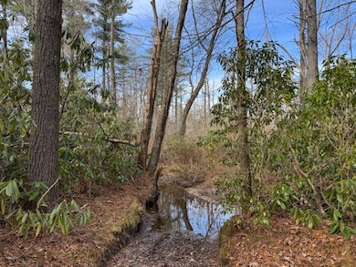 001 Joe Poore Rd, Newland, NC 28657 - photo 3