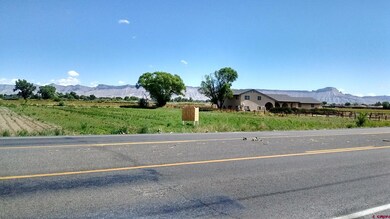 2910 D Rd, Grand Junction, CO 81504 - photo 4