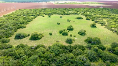 0 Cr 59 South of Fm 70 unit 11356339, Bishop, TX 78343 - photo 4