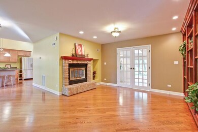 Wood Burning Fireplace