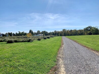 727 County Road 620, Ashland, OH 44805 - photo 3