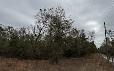 TBD SW 57th Trail, Jasper, FL 32052 - photo 2