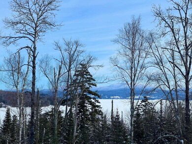 1 W Side Dr, Rangeley, ME 04964 - photo 5