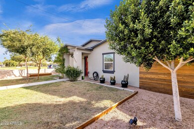 Overseeded lawn
