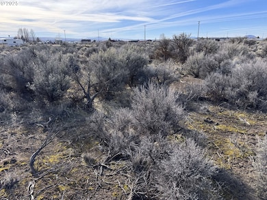 0 Aspen unit 20800, Christmasvalley, OR 97641 - photo 5