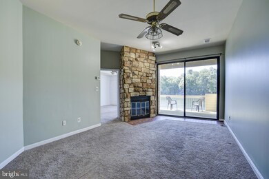 11258 Harbor Ct unit 1258, Reston, VA 20191 - photo 5