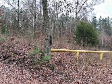 0 Sawyers Mill Rd, Camden, TN 38320 - photo 2