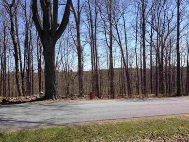 454 Brownell Rd, Ballston Spa, NY 12020 - photo 4