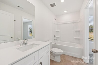 270 Tiger Lily Dr, Fort Mill, SC 29708 - photo 6