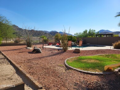 backyard 1