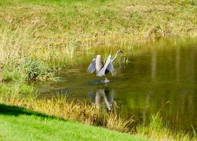 656 Huckle Hill Rd, Bernardston, MA 01337 - photo 5