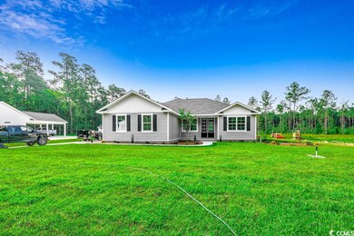 6903 Pauley Swamp Rd, Conway, SC 29527 - photo 4