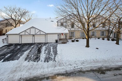 2163 Lancaster Cir unit 201A, Naperville, IL 60565 - photo 2