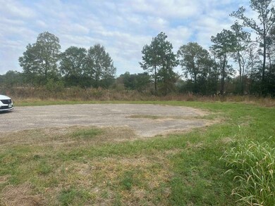 0 Landon Rd, Orange, TX 77632 - photo 4