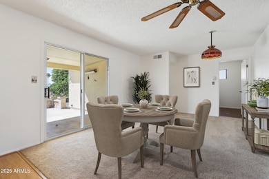 1-web-or-mls-S 81st Way-1405-009