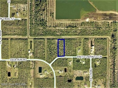 aerial of immediate streets