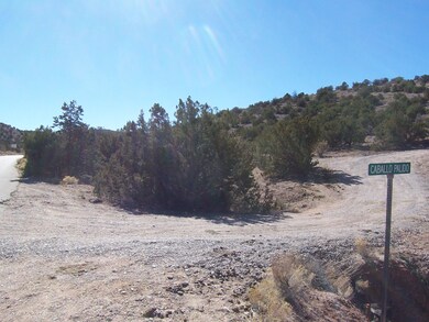 6 Caballo Palido, Placitas, NM 87043 - photo 5
