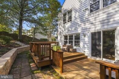 4607 Deming Ave, Alexandria, VA 22312 - photo 7