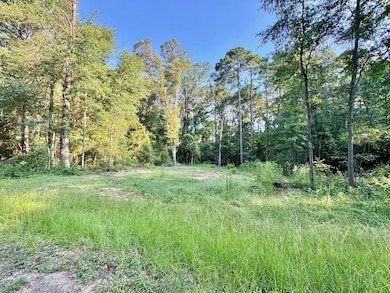 417 Old Tejas Trail W, Hemphill, TX 75948 - photo 2