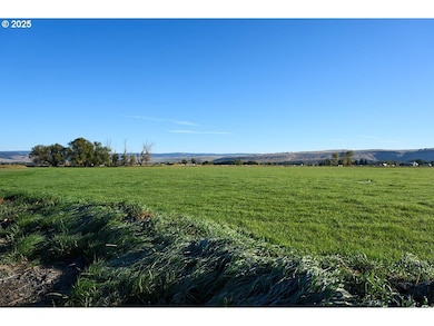 0 Upper Diamond Ln unit 25175967, Wallowa, OR 97885 - photo 6