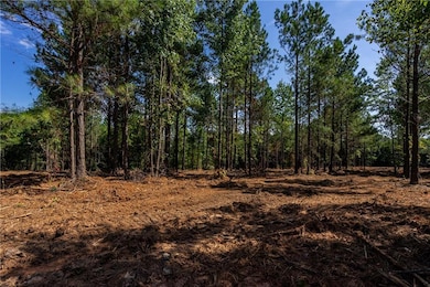 Lot 5 Young Loop, Fairmount, GA 30139 - photo 7