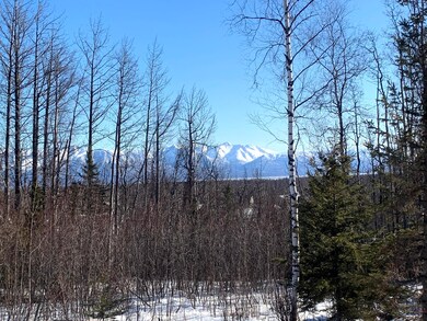 Winter view from back deck