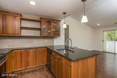 5924 Watch Chain Way unit 505, Columbia, MD 21044 - photo 4