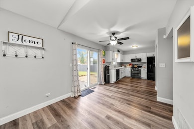 5332 W Mulberry Ln, Monee, IL 60449 - photo 7