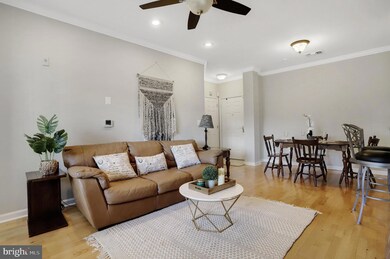 4550 Strutfield Ln unit 2211, Alexandria, VA 22311 - photo 4